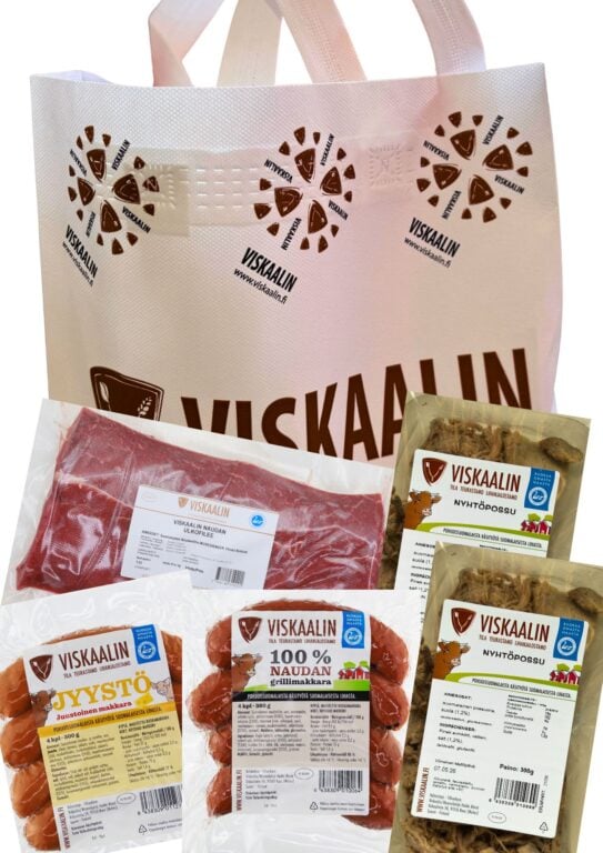 VISKAALIN GRILLIKASSI